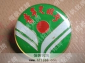 青年文明號徽標,徽章,胸章,胸徽