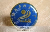 臨沂市河東二中學校?；?學校徽章