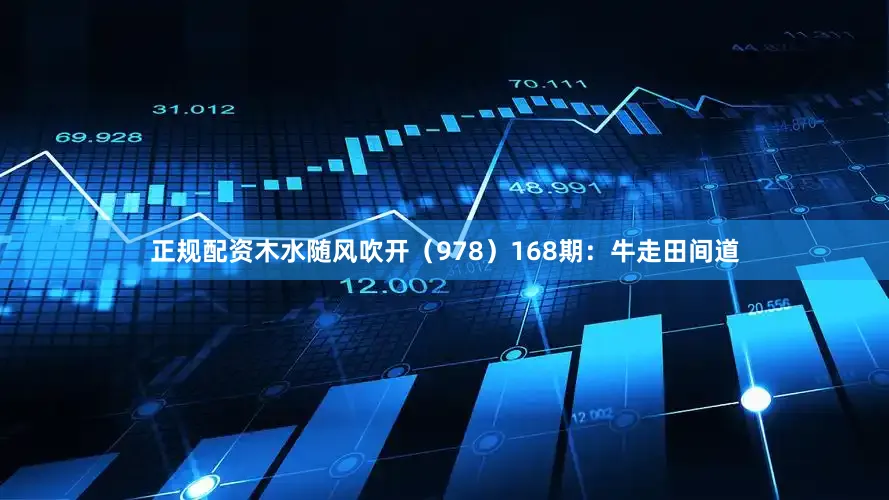 正规配资木水随风吹开（978）　　168期：牛走田间道