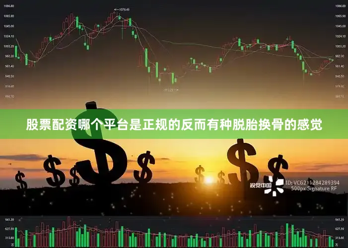 股票配资哪个平台是正规的反而有种脱胎换骨的感觉