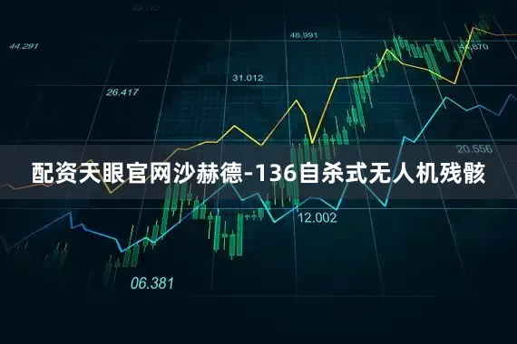 配资天眼官网沙赫德-136自杀式无人机残骸