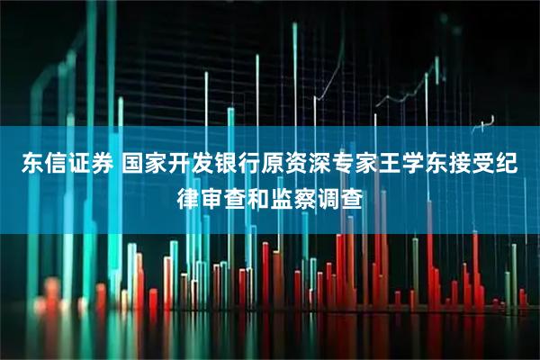 东信证券 国家开发银行原资深专家王学东接受纪律审查和监察调查