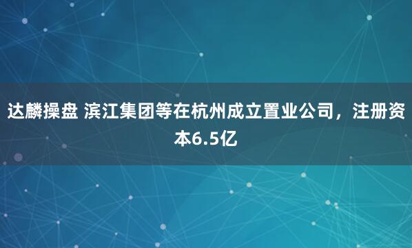 达麟操盘 滨江集团等在杭州成立置业公司，注册资本6.5亿